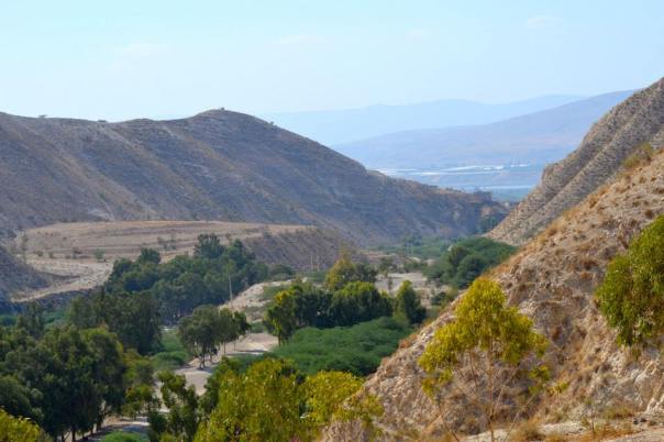 The hills of northern Jordan